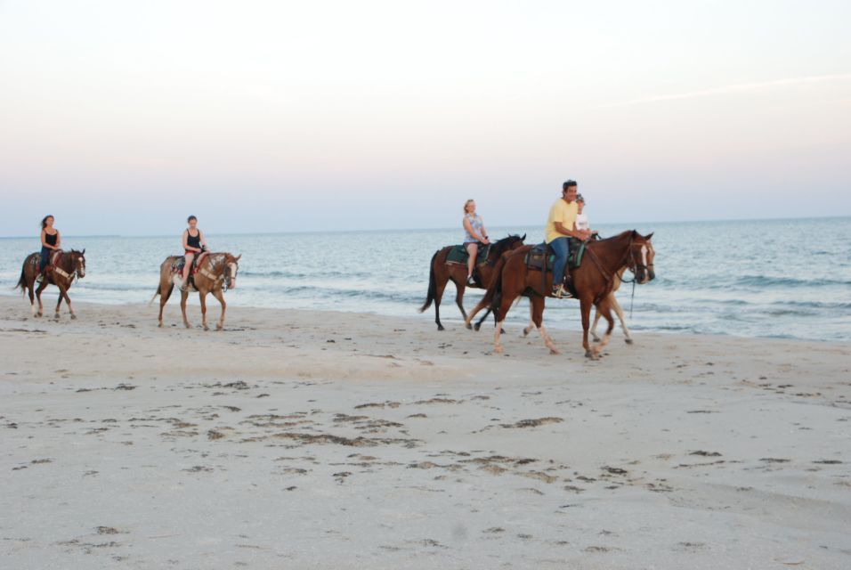 🐴 Agadir : cheval sur les plages et dans les ranchs