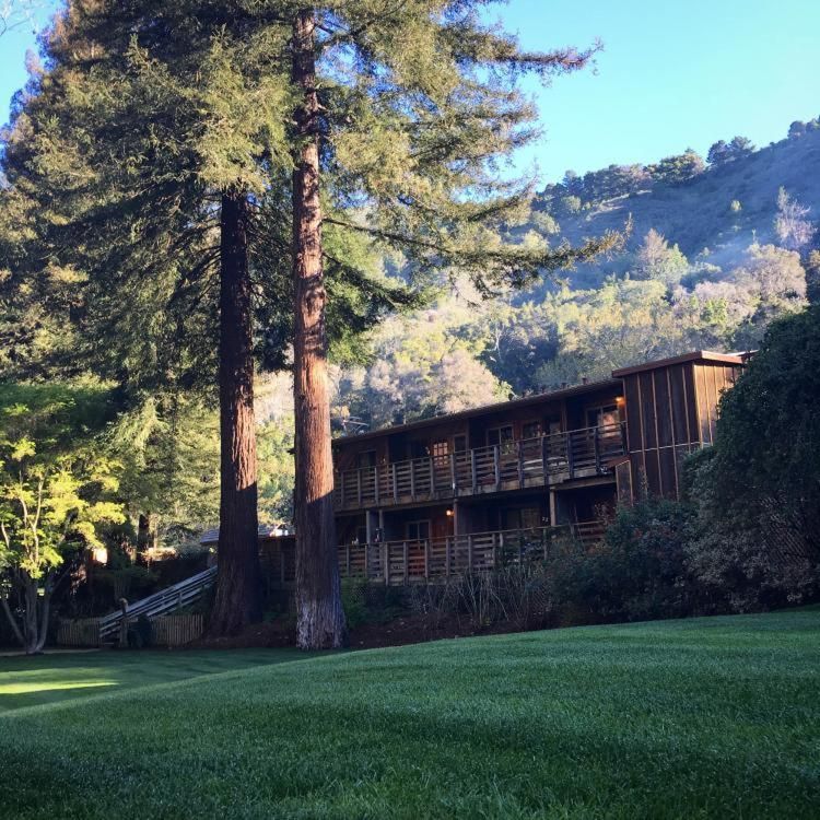 El hotel está en plena naturaleza