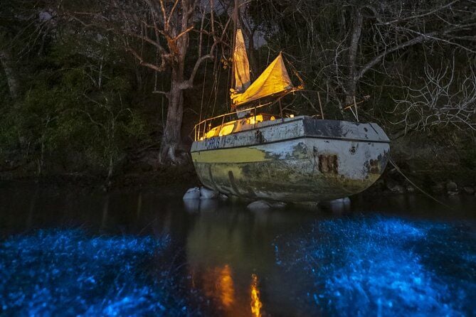 Bioluminescent Kayak Tour