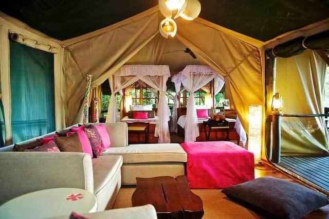 Campamento de tiendas Samburu Intrepids