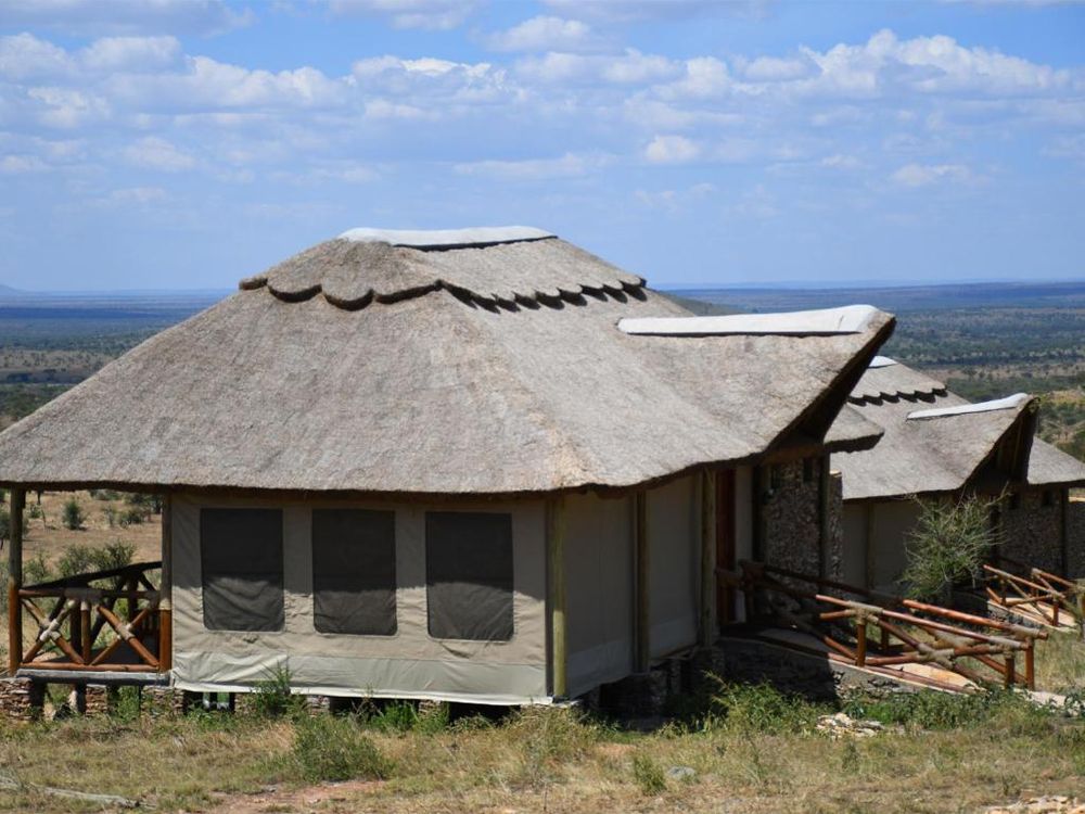 Serengeti Safari Lodge