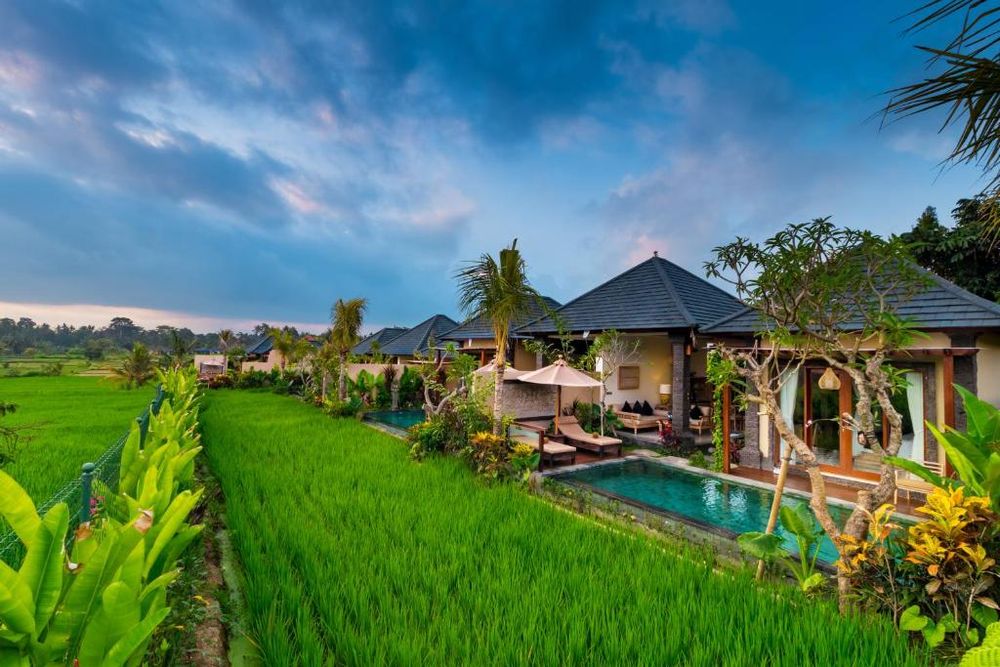 Bliss Ubud Spa Resort