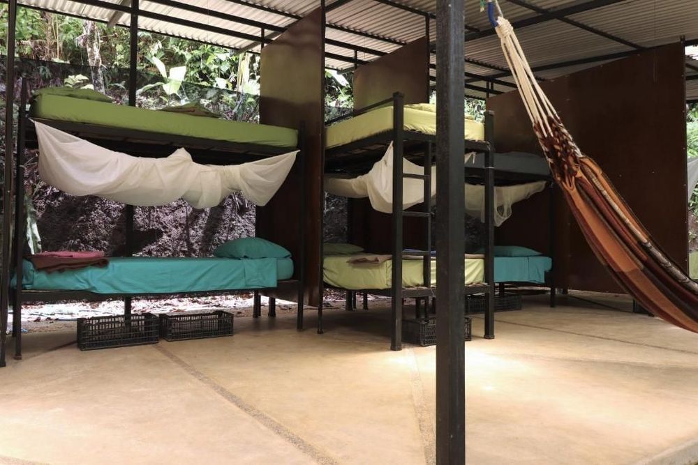 Bolita Rainforest Hotel and Cabinas