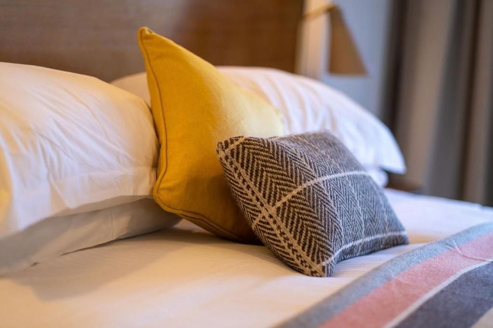 Hotel Meudon