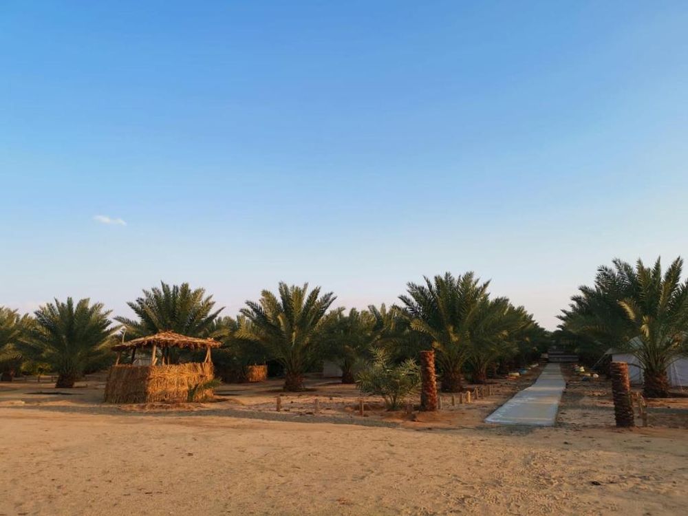 Camp in the Al Ula desert