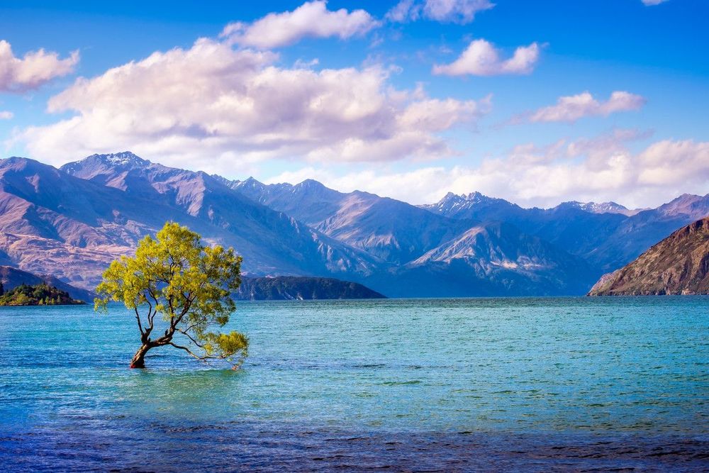 Réservez votre croisière d'une heure sur le lac Wanaka !