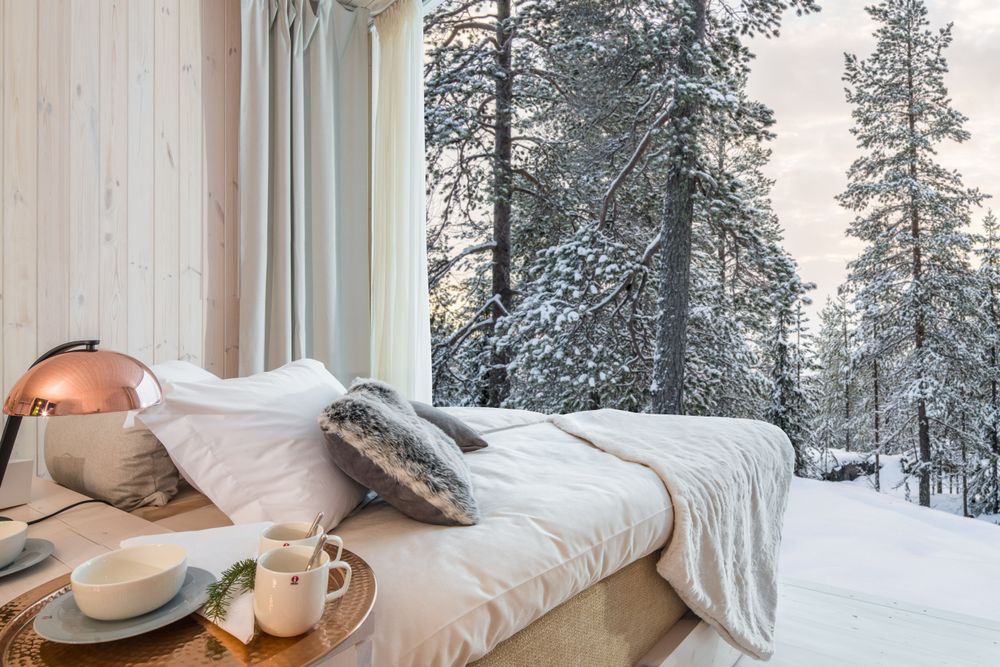 Arctic TreeHouse Hotel 5*