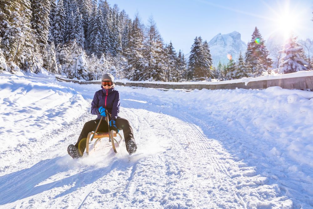 Colorado Luge