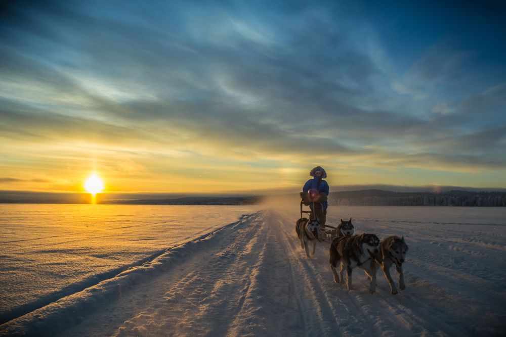 Book your first dogsled ride