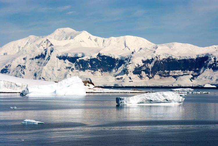 La banquise antarctique ©Andreea Dragomir/123RF