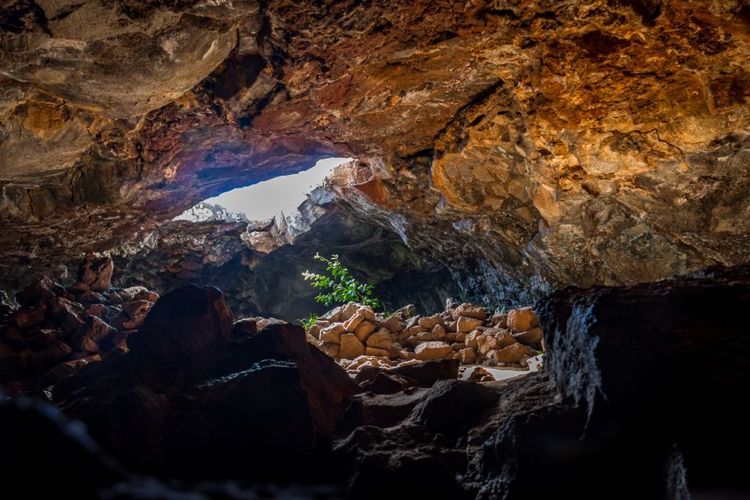 L'entrée d'une grotte sur l'île Diego de Almagro au Chili ©Diego Grandi/123RF