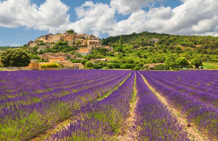 La route de la Lavande en Provence © Demchishina Olga /123rf