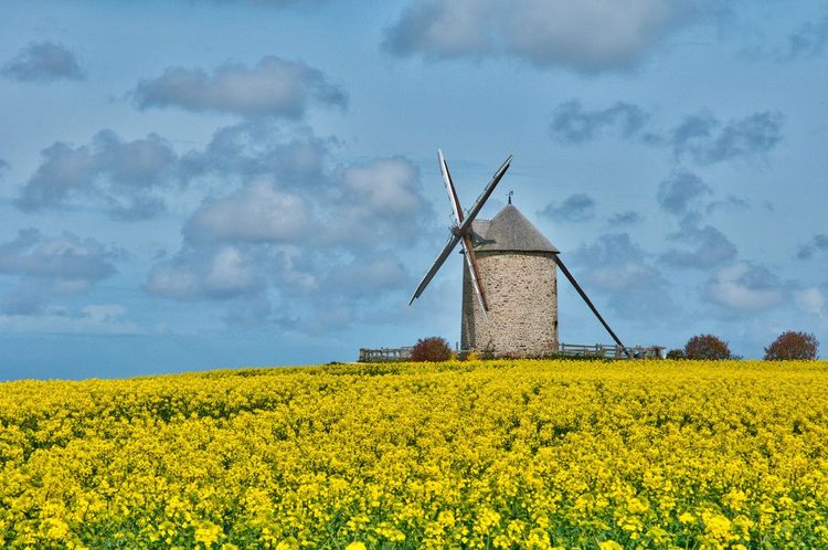 Le moulin de Moidrey © Philippe Halle/123rf