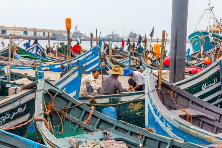 Conversation entre 3 pêcheurs au port d'Agadir