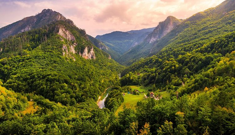 Montenegro: Immergersi nell'immensità delle gole del Tara, 