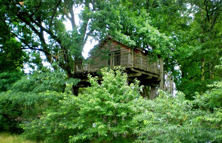 La Cabane Perchée du Lérot, dans la forêt des Landes