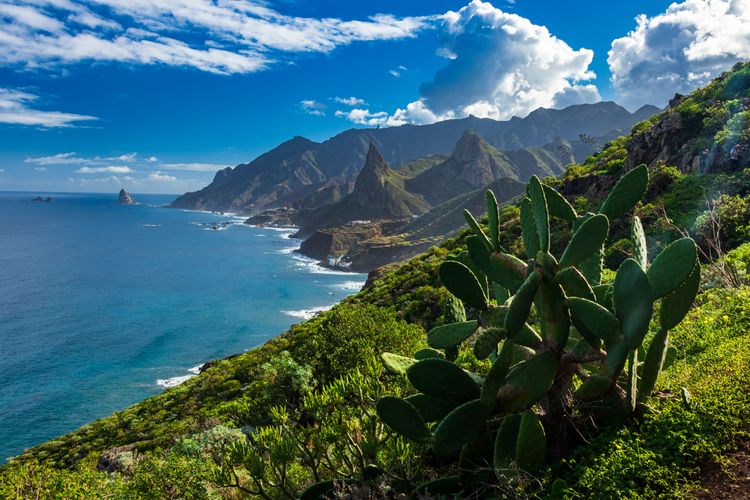 El mágico Bosque de Anaga en Tenerife, Reserva de la Biosfera de la UNESCO