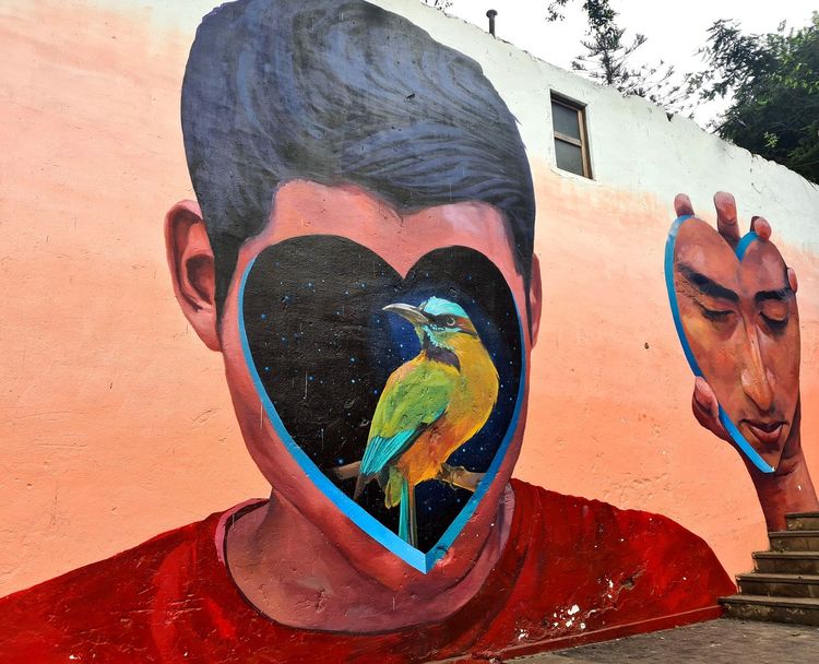 Une oeuvre street art réalisée par Jade Riveira à Lima
