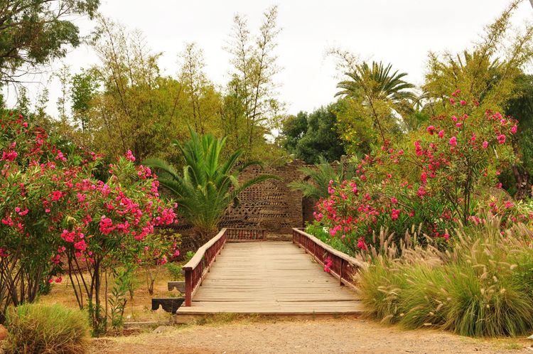 Petit pont fleuri au jardin d'Olhao à Agadir