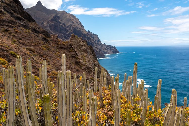 Los paseos de Anaga son excepcionales, Tenerife, Islas Canarias, España, Europa.