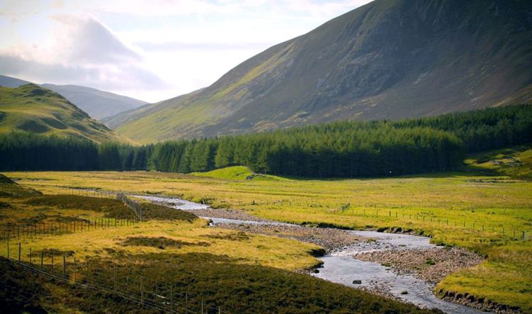 Le parc national de Cairngorms est situé au nord-est de l'Écosse.