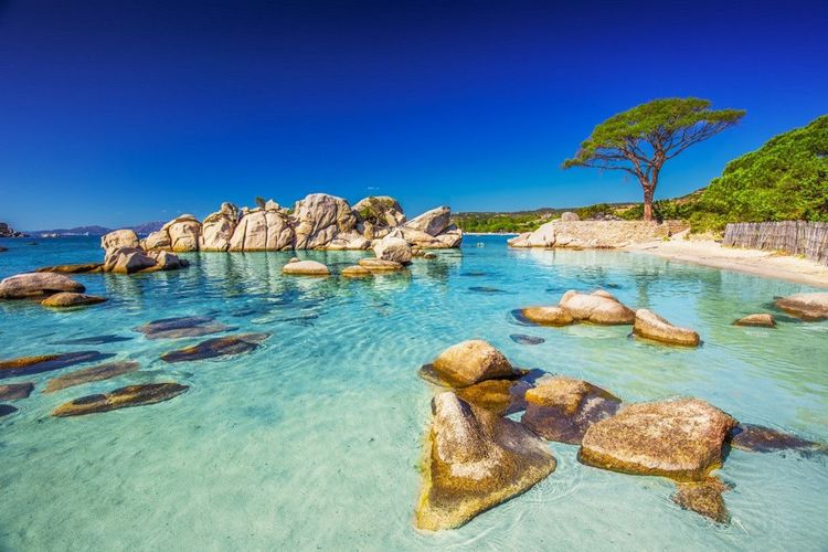 Das türkisfarbene Wasser am Strand von Palombaggia