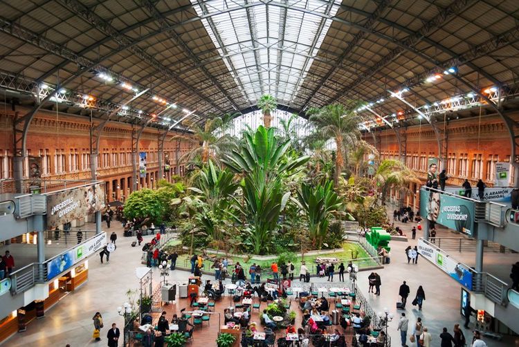 Le jardin tropical luxuriant de la gare d'Atocha