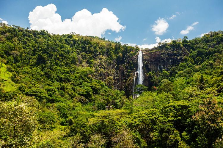 Bambarakanda, la plus grande cascade du Sri Lanka