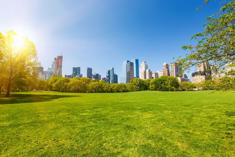 Central Park en été, New York, Etats-Unis