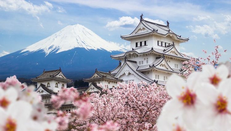 Château d'Himeji, Japon