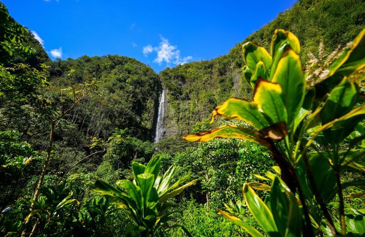Chutes de Waimoku dans le parc national Haleakala, à l'est de l'île de Maui