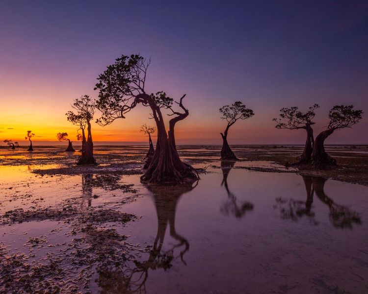 Coucher de soleil à la plage de Walakiri, Sumba, Indonésie