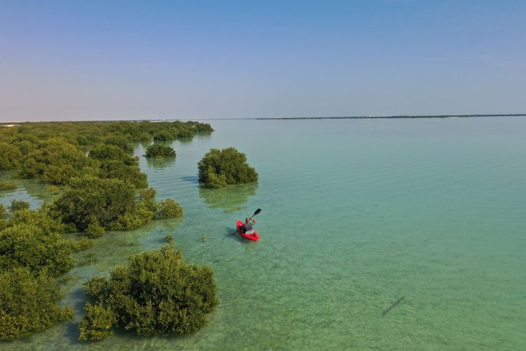 La baia di mangrovie di Al Thakira in Qatar