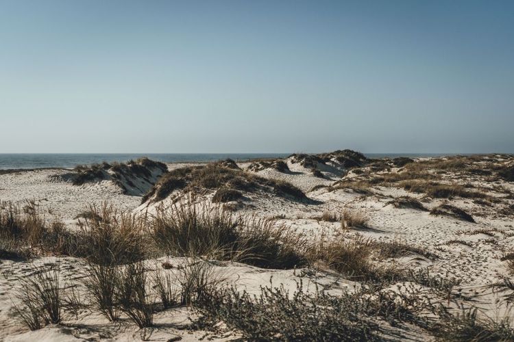 Dunes blanches de la plage de Sao Jacinto