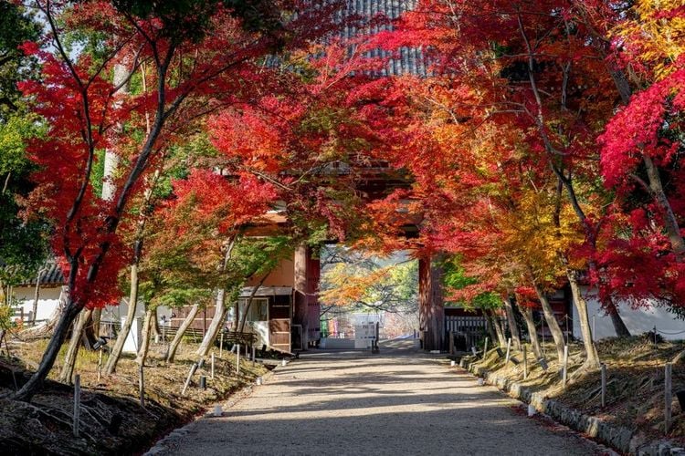 L'entrée du temple japonais Daigo ji à Kyoto