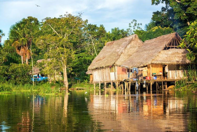 Les maisons sur pilotis dans la forêt engloutie au Brésil