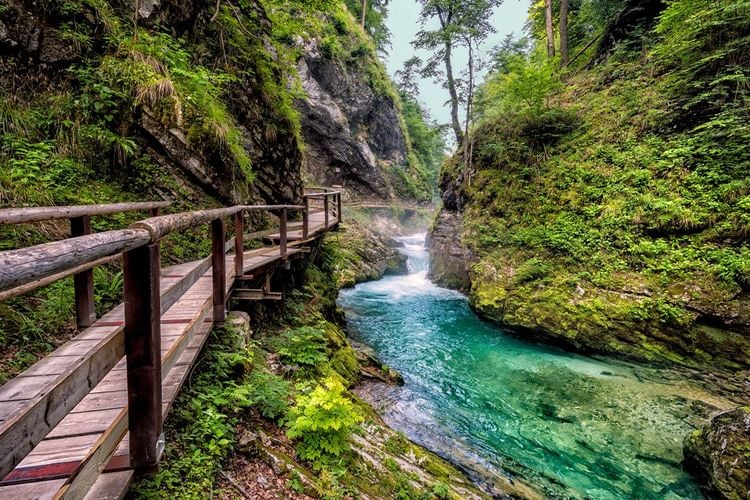Gorges de Vintgar, Slovénie