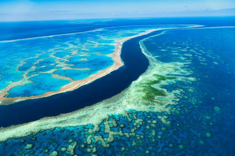 Grande barrière de Corail, Australie