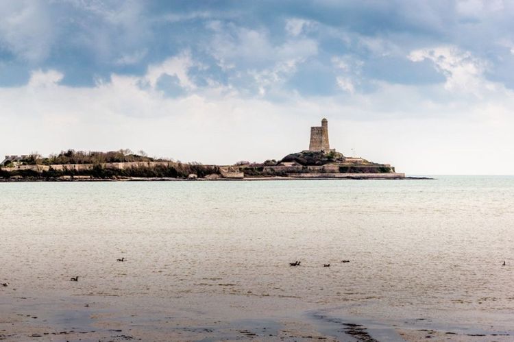 Ile Tatihou dans la Manche