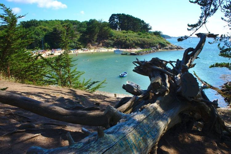 Ile aux Moines dans le Morbihan