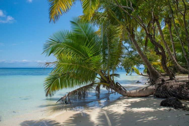 Ile aux Nattes