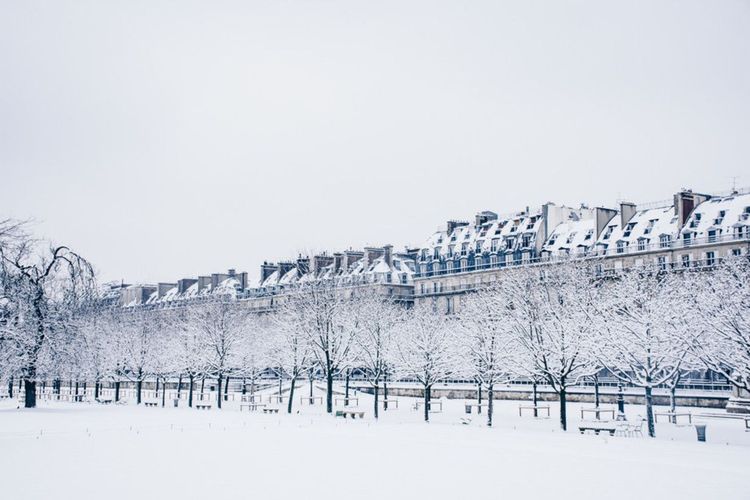 Jardin des Tuileries en hiver, Paris