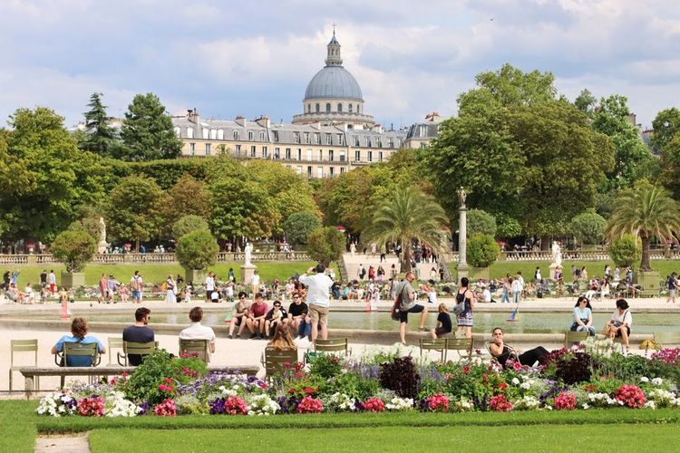 Le jardin du Luxembourg, ses fleurs, son bassin et le palais du Sénat au second plan