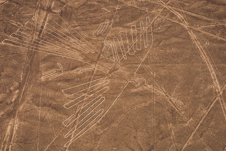 Les lignes de Nazca