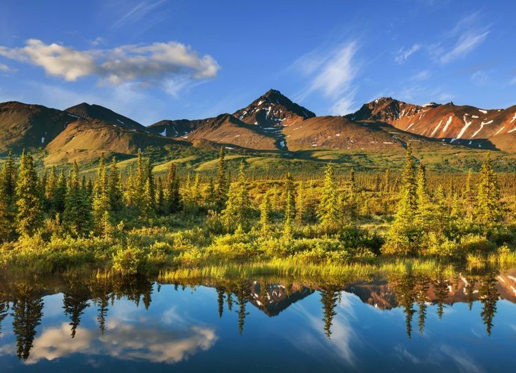 L'Alaska en été. kamchatka-123RF.