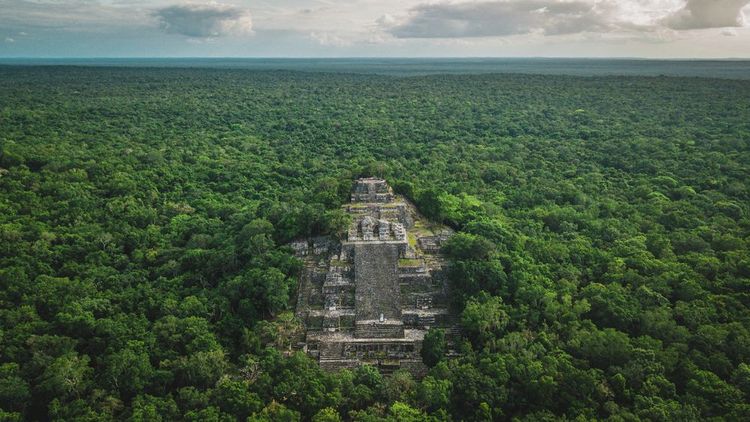 La biosphère de Calakmul, Mexique