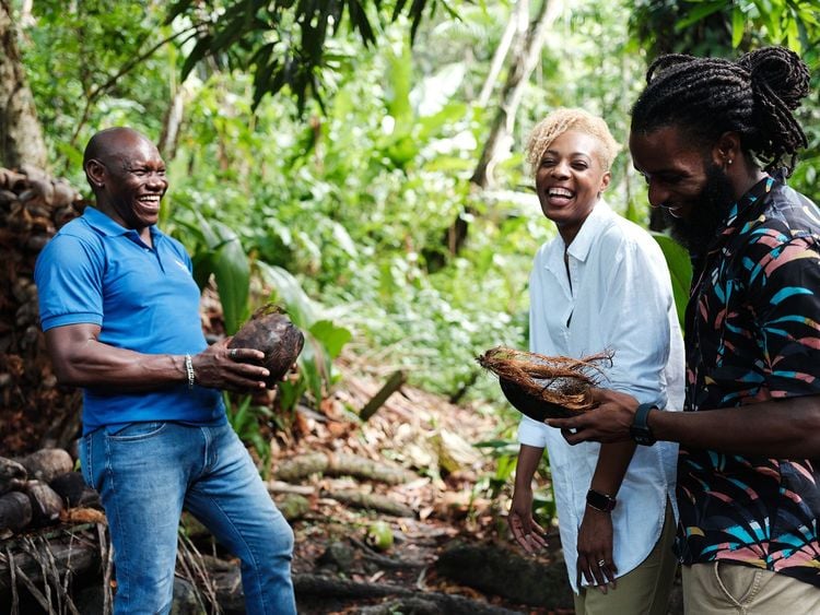 La visite d'une plantation de cacao