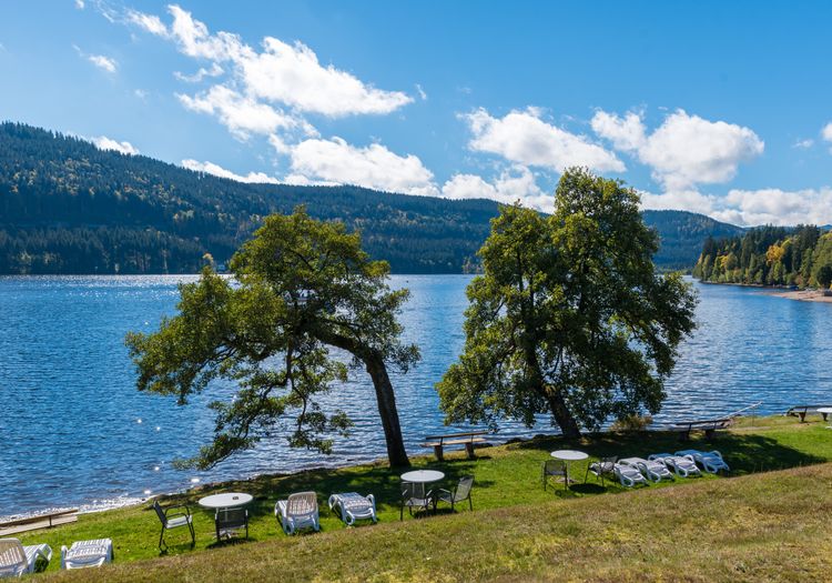Vue sur le lac de Schluch en plein été