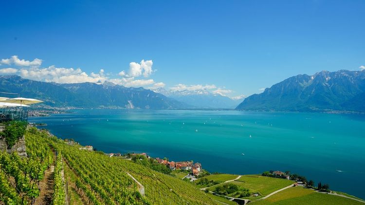 Au bord du Lac Léman, la vue depuis la ville de Lausanne est à couper le souffle