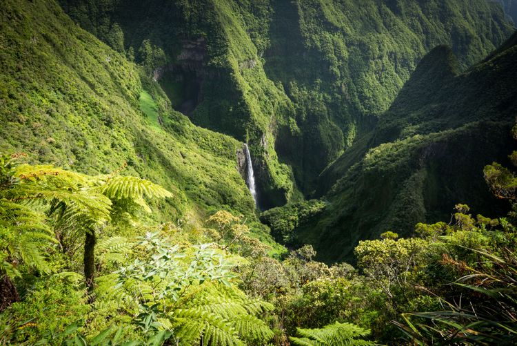 Le Trou de Fer, La Réunion